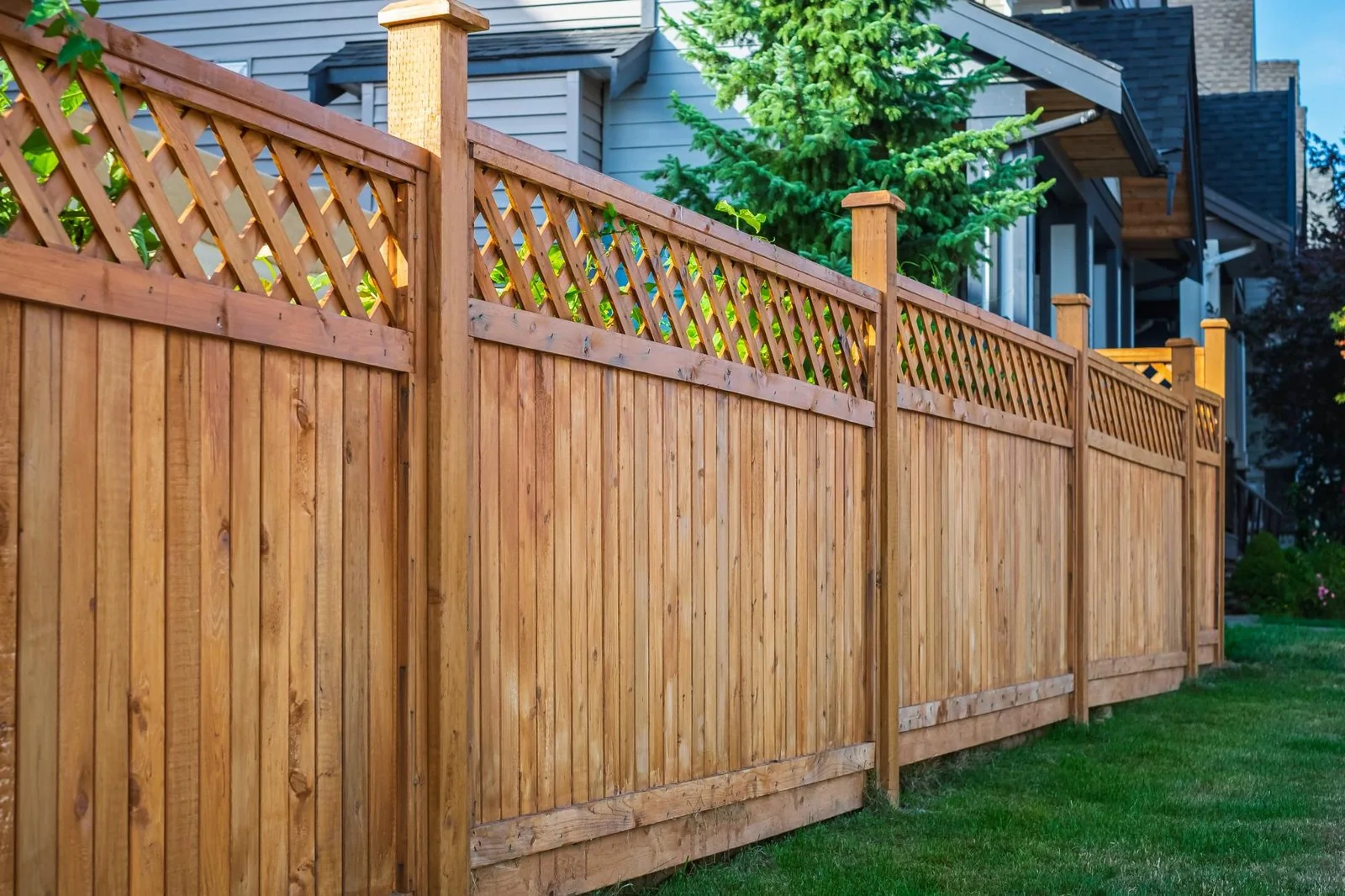 Cedar privacy fence with landscape lighting